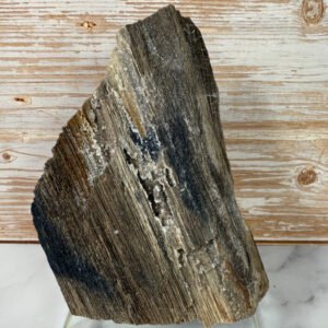 Rare Per-mineralised Fossilised Wood