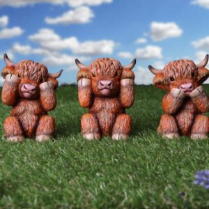Three Wise Highland Cows