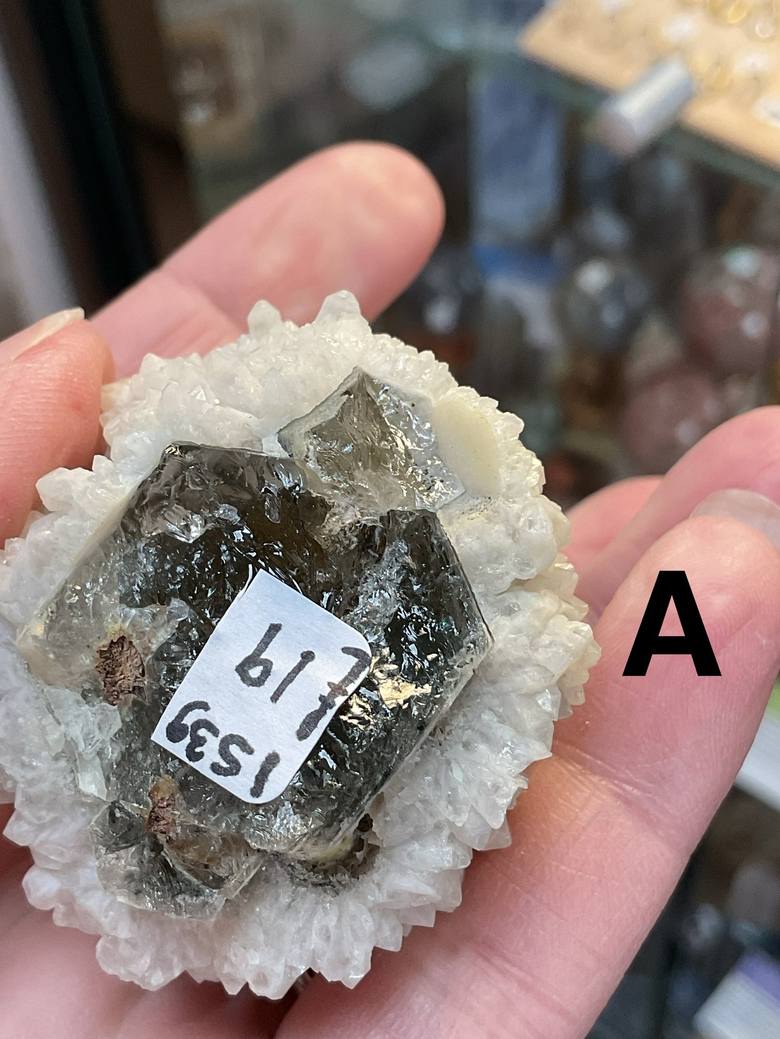 Mongolian ‘Candle’ Quartz - Image 9