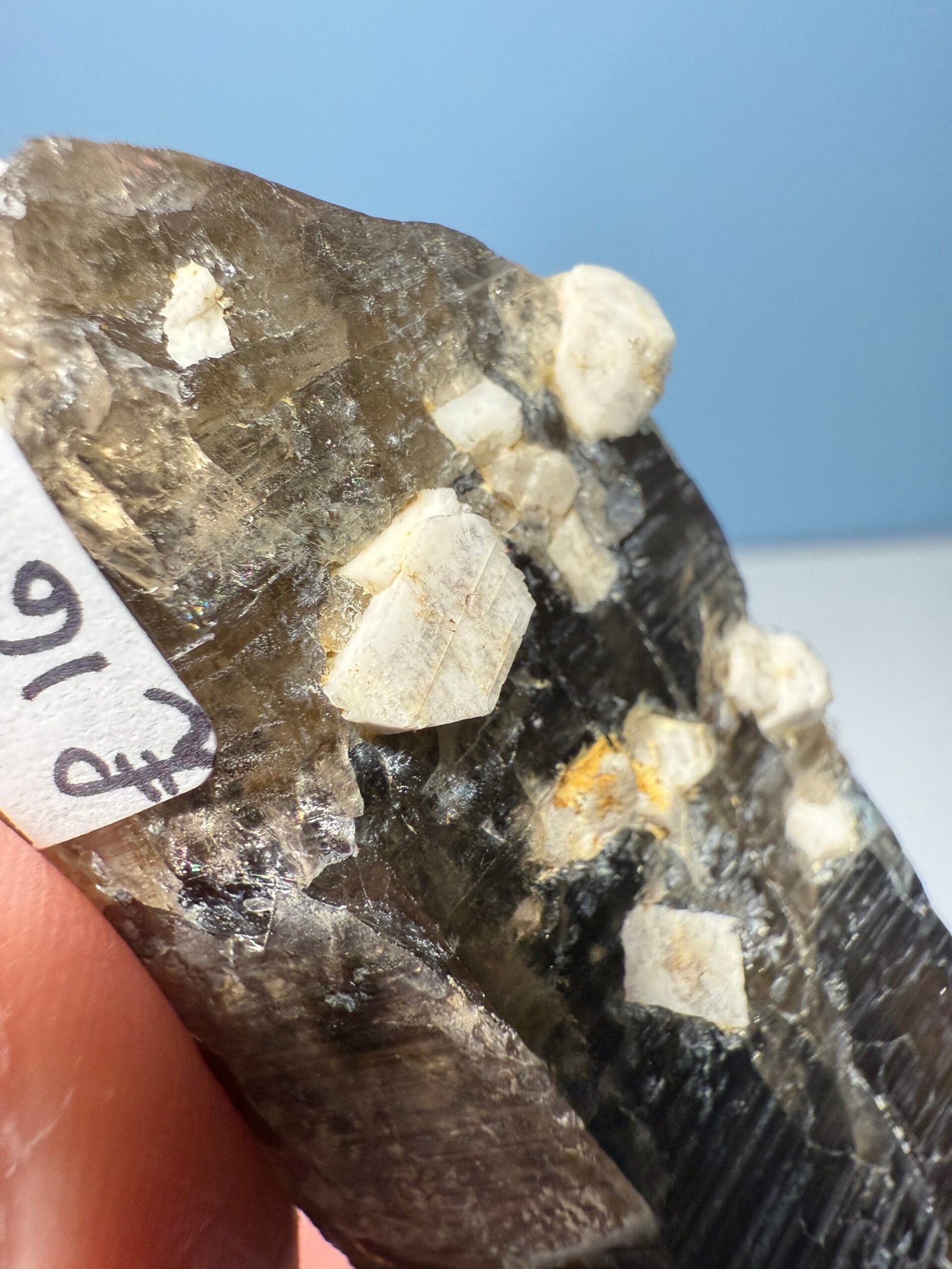 Natural Malawi Smoky Quartz Point - Image 9