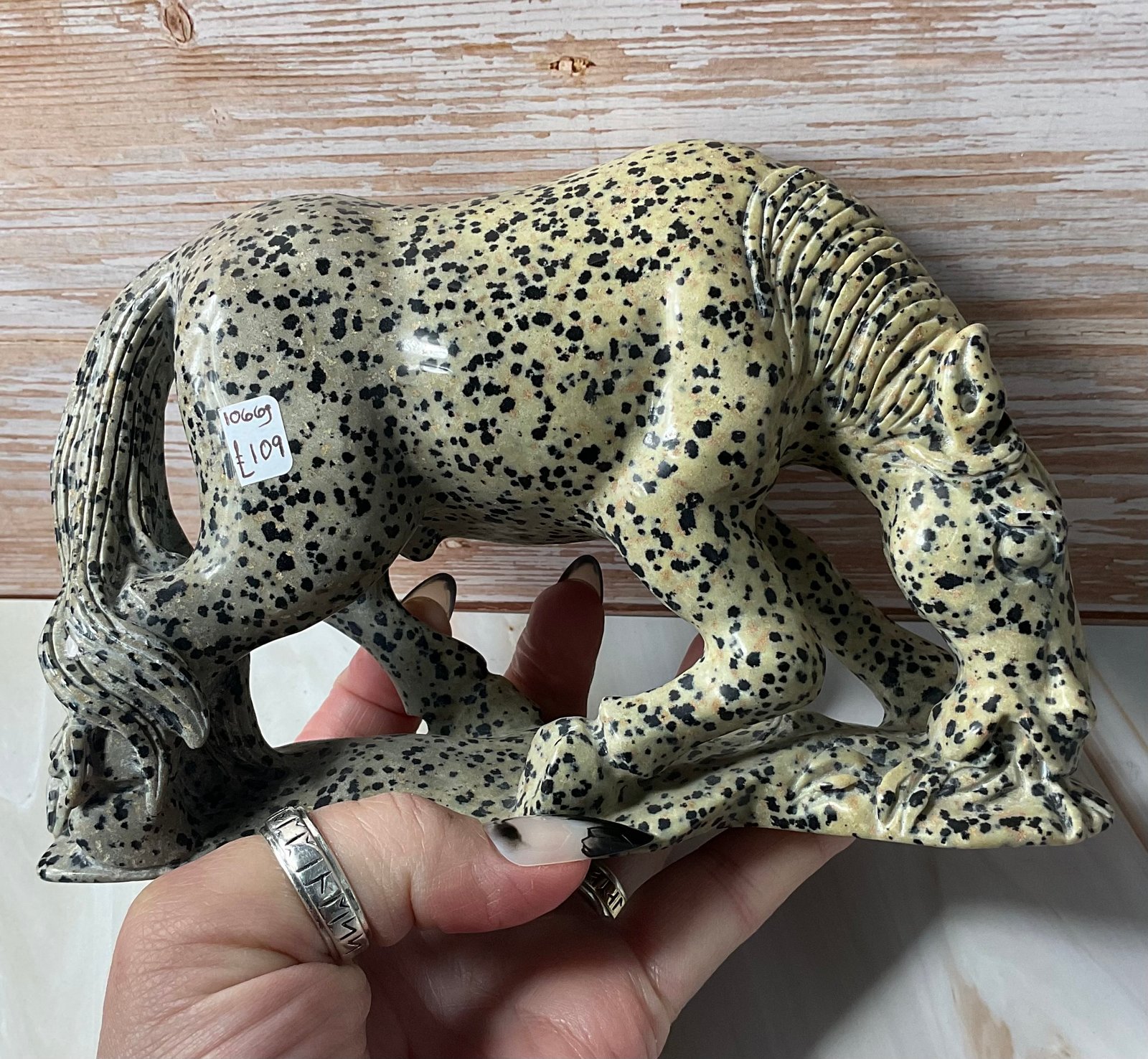 Dalmatian Stone Horse Carving - Image 3