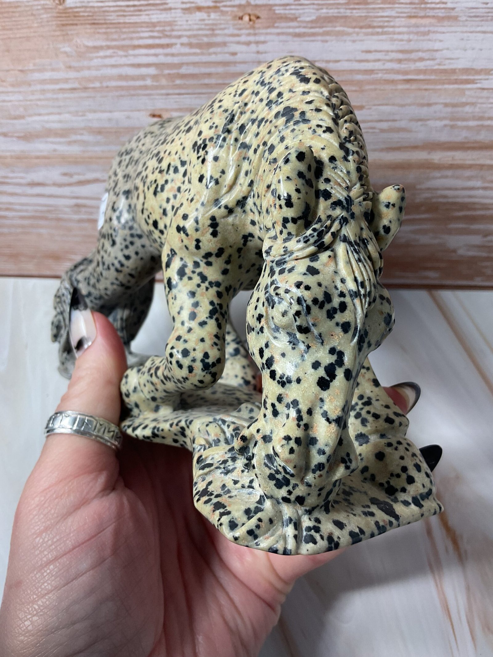 Dalmatian Stone Horse Carving - Image 4