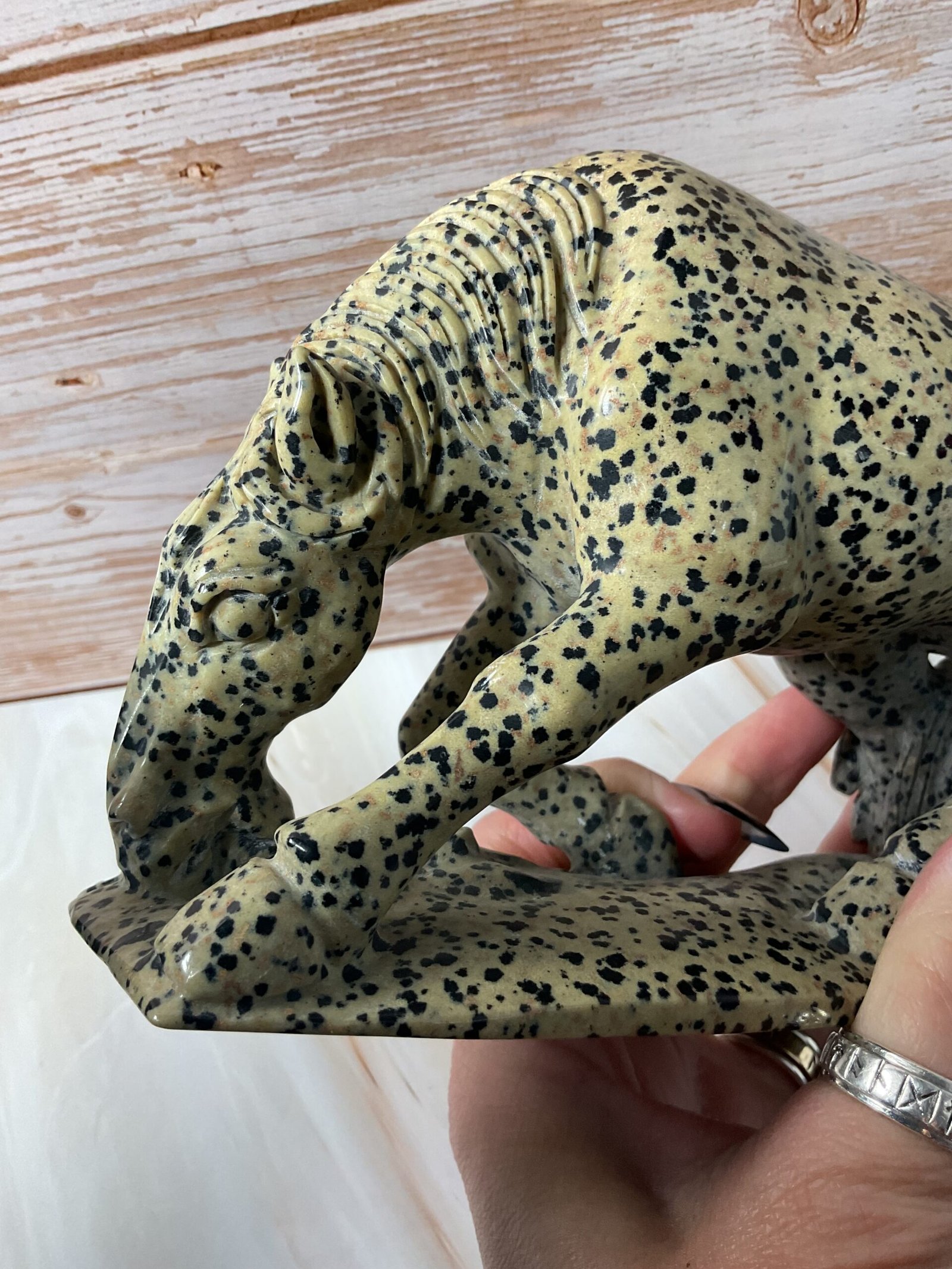 Dalmatian Stone Horse Carving - Image 5