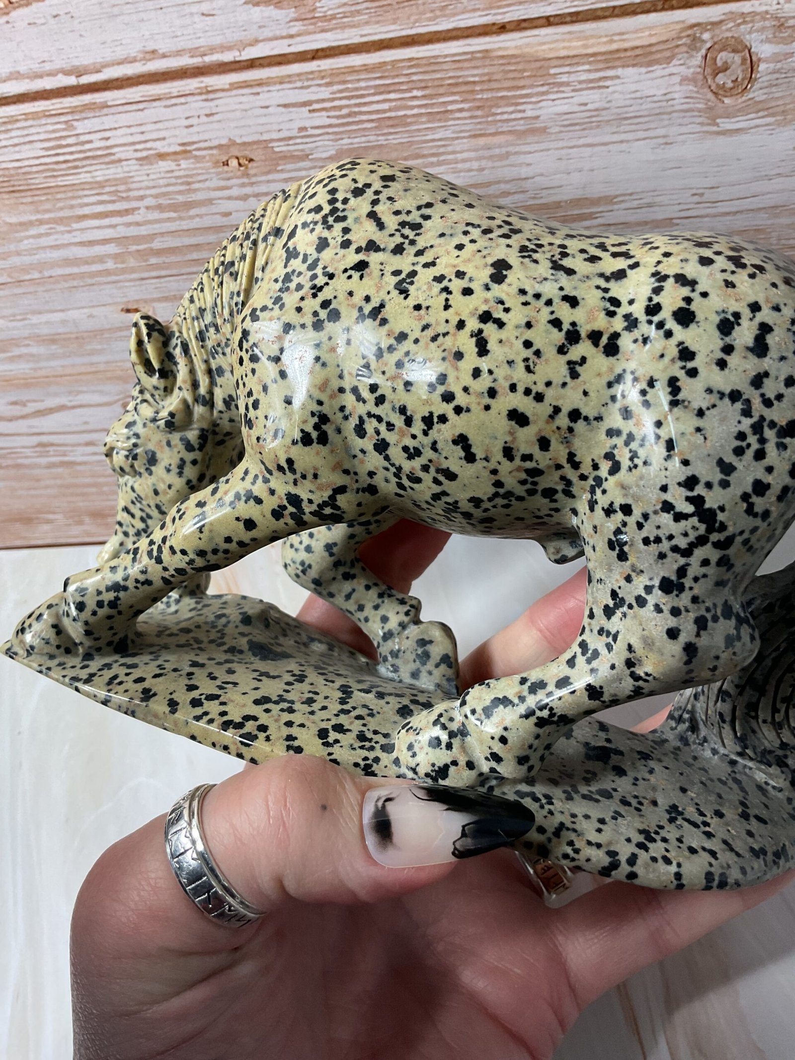 Dalmatian Stone Horse Carving - Image 6