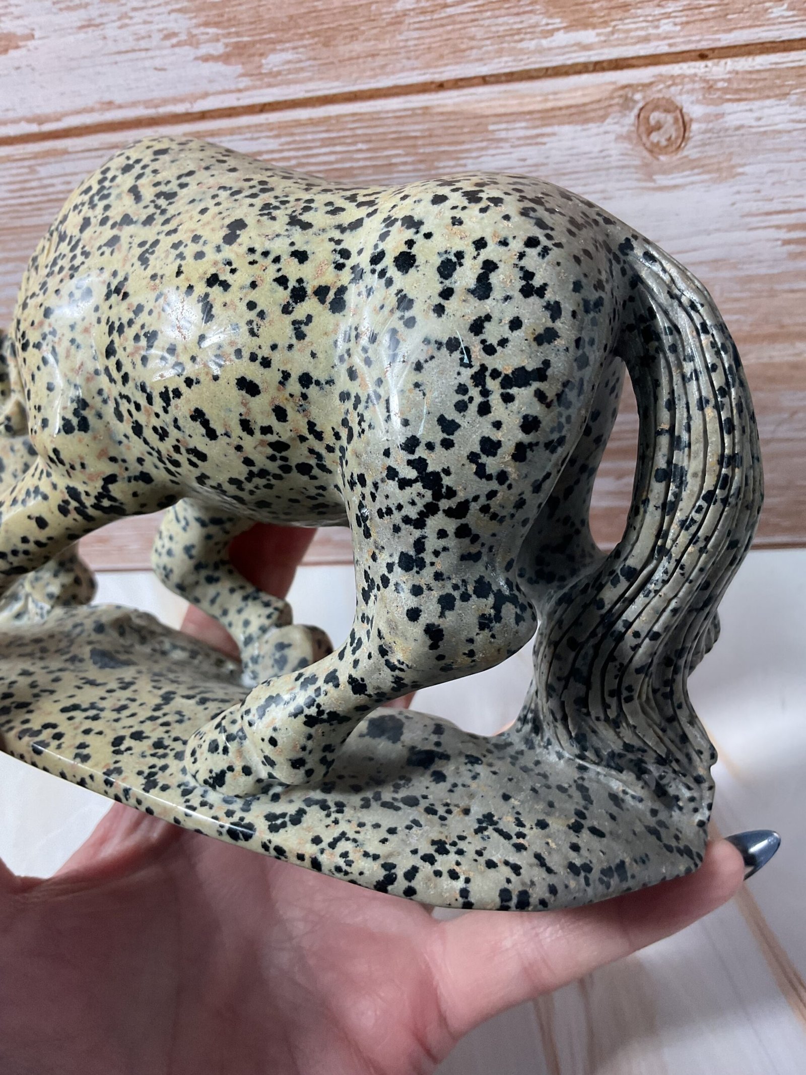Dalmatian Stone Horse Carving - Image 7
