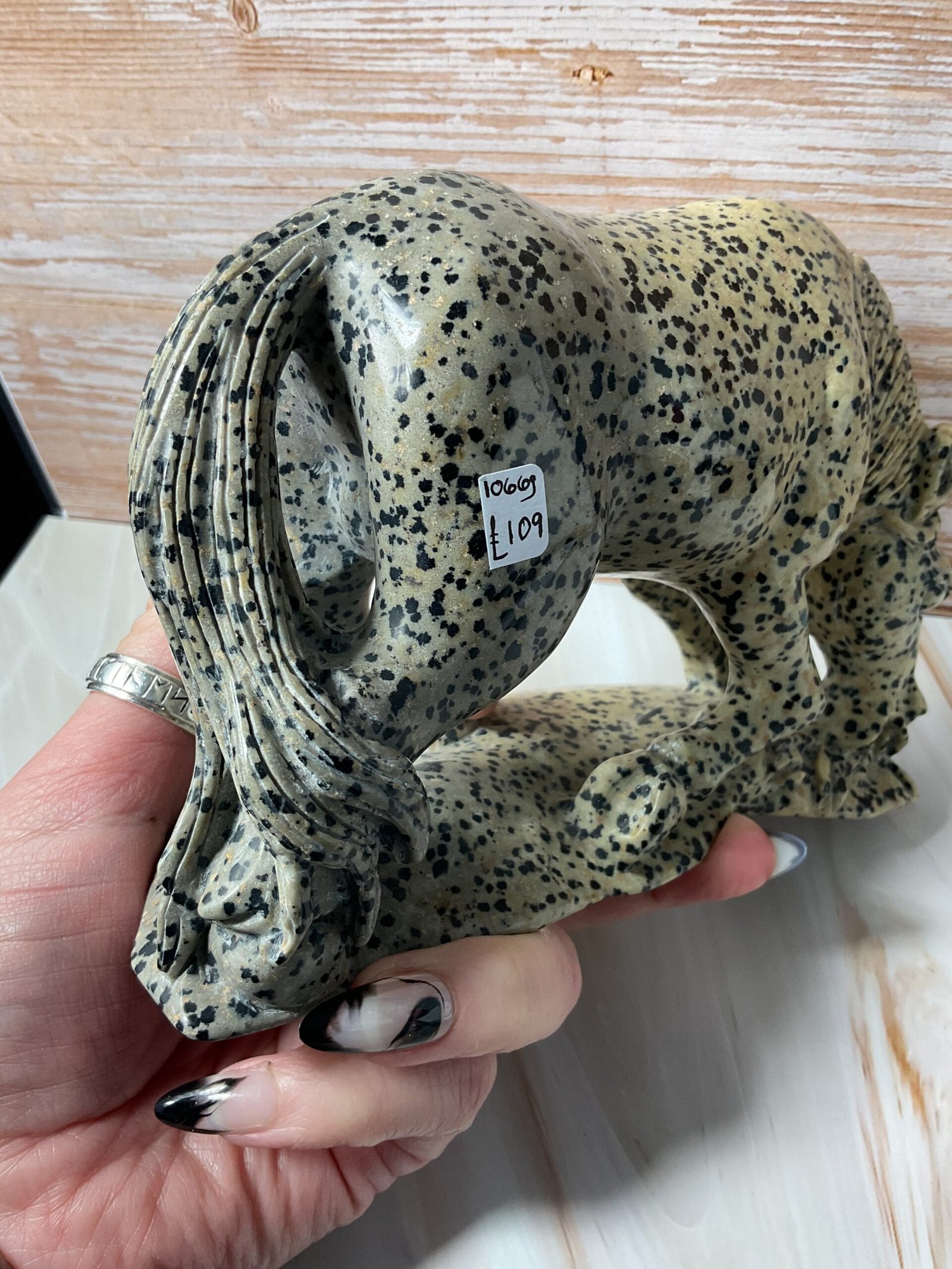 Dalmatian Stone Horse Carving - Image 8