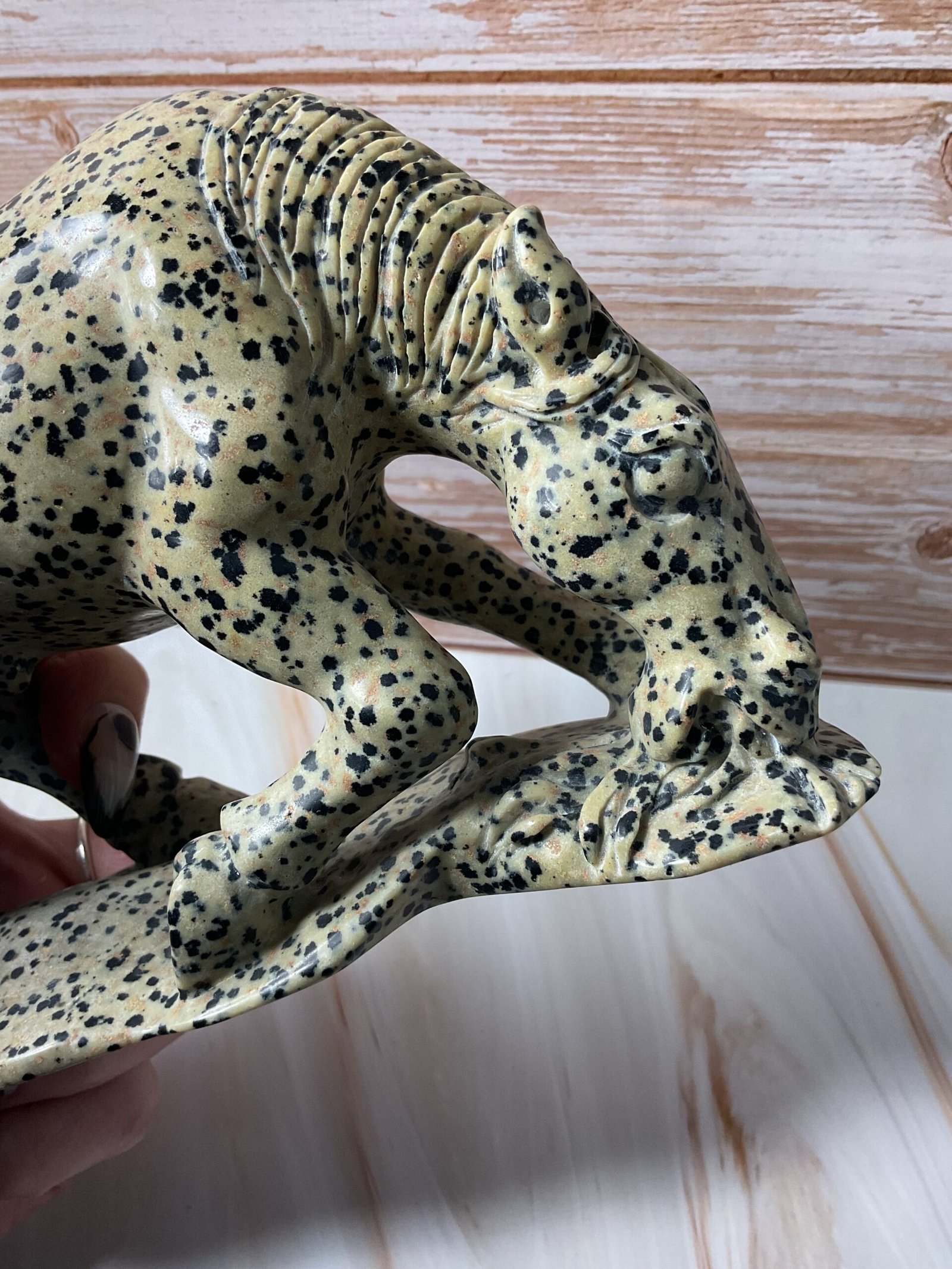 Dalmatian Stone Horse Carving - Image 9