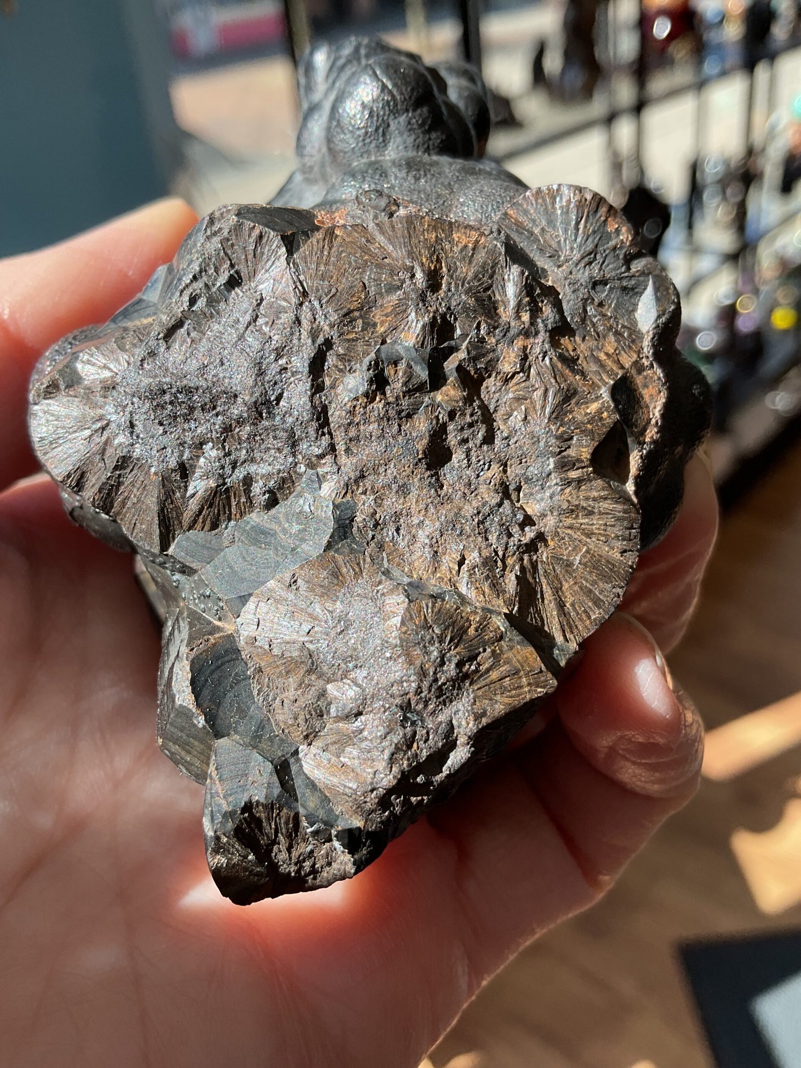 Botryoidal Hematite-Morocco - Image 4