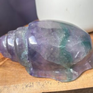 Rainbow Fluorite Shell