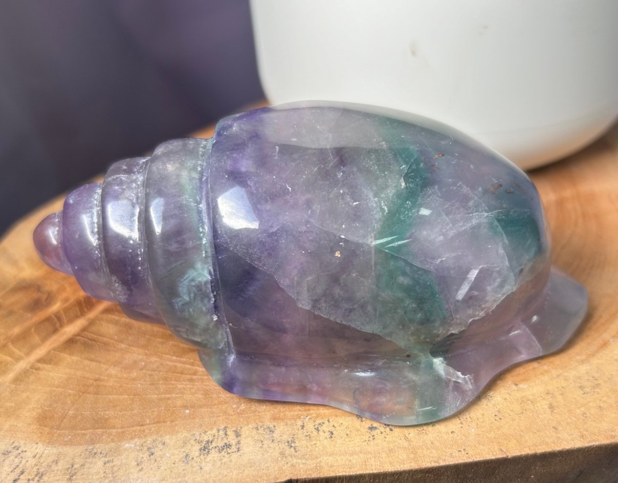 Rainbow Fluorite Shell