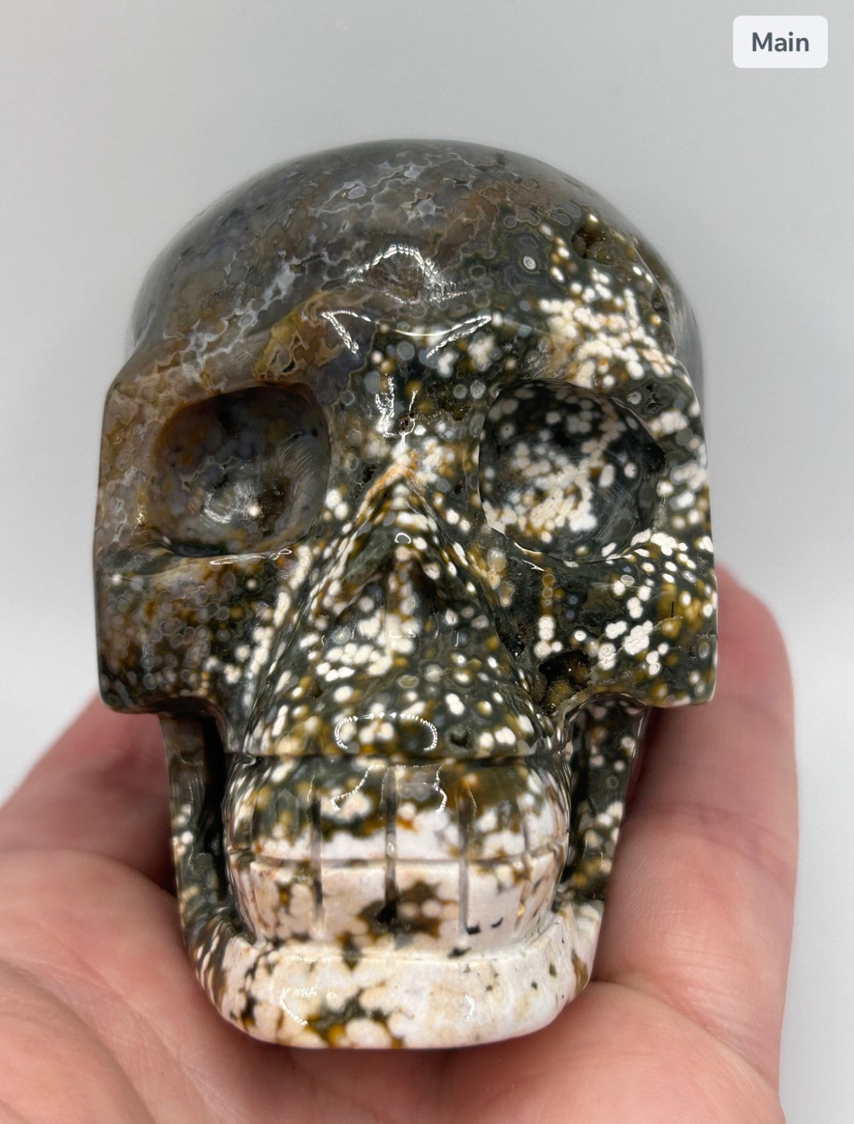Ocean Jasper Skull