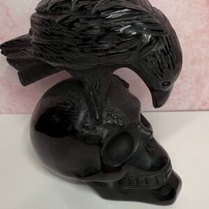 Black Obsidian Crow on Skull Carving