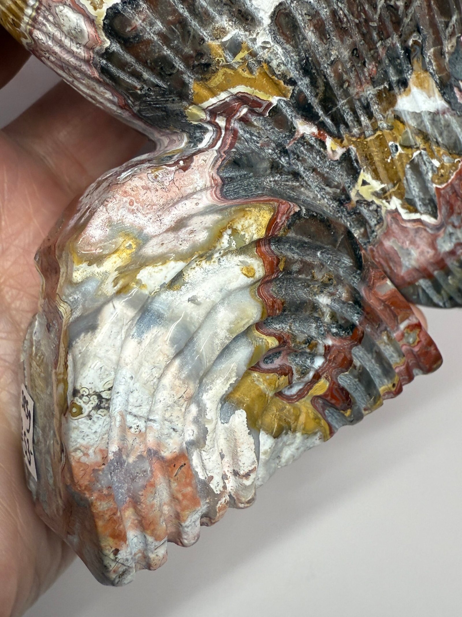 Crazy Lace Agate Bird Carving - Image 6