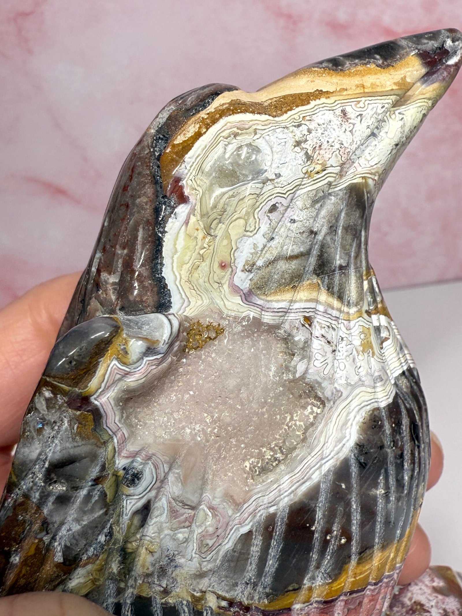 Crazy Lace Agate Bird Carving