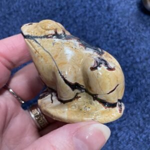 Picture Jasper Frog