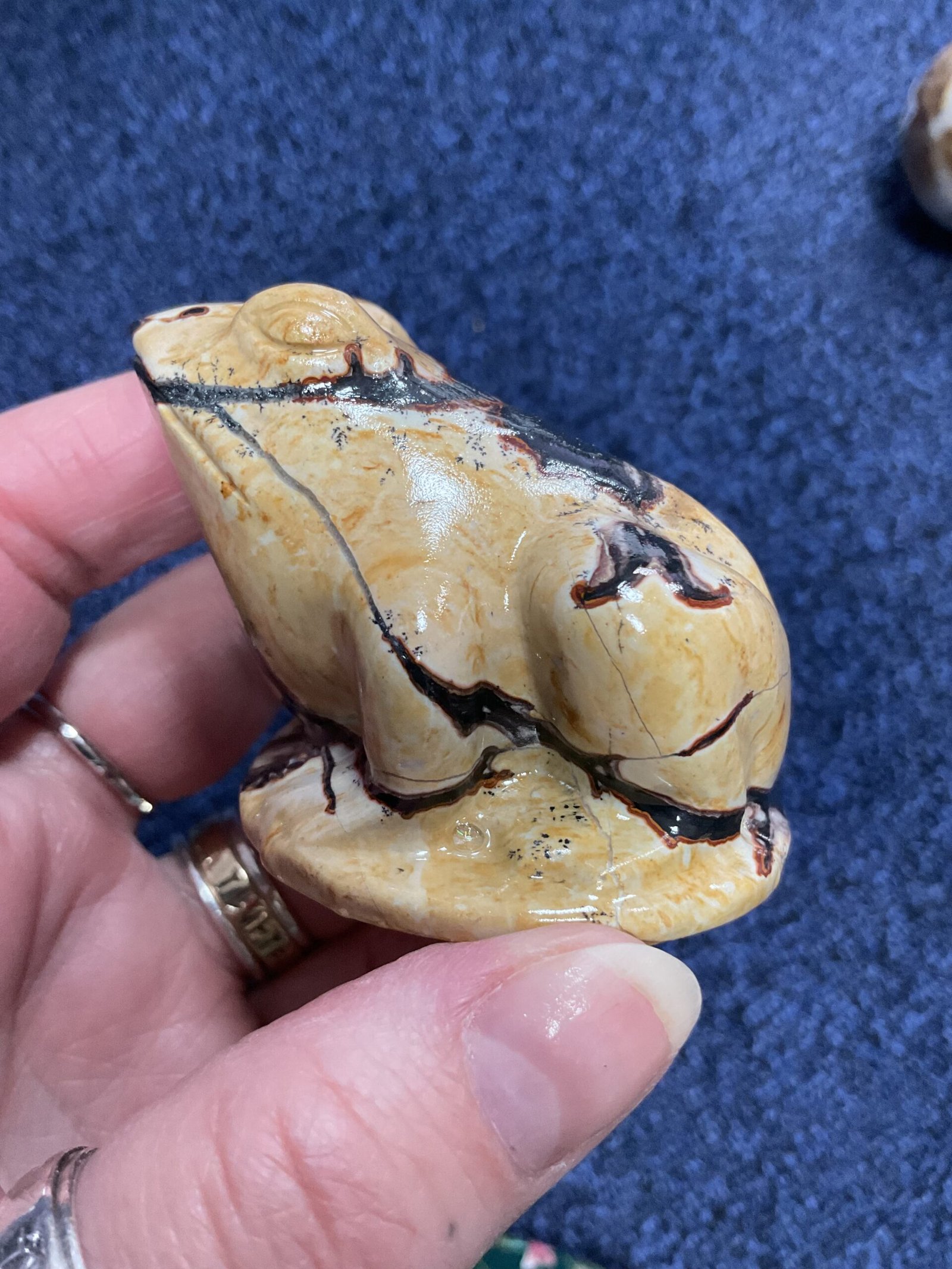 Picture Jasper Frog
