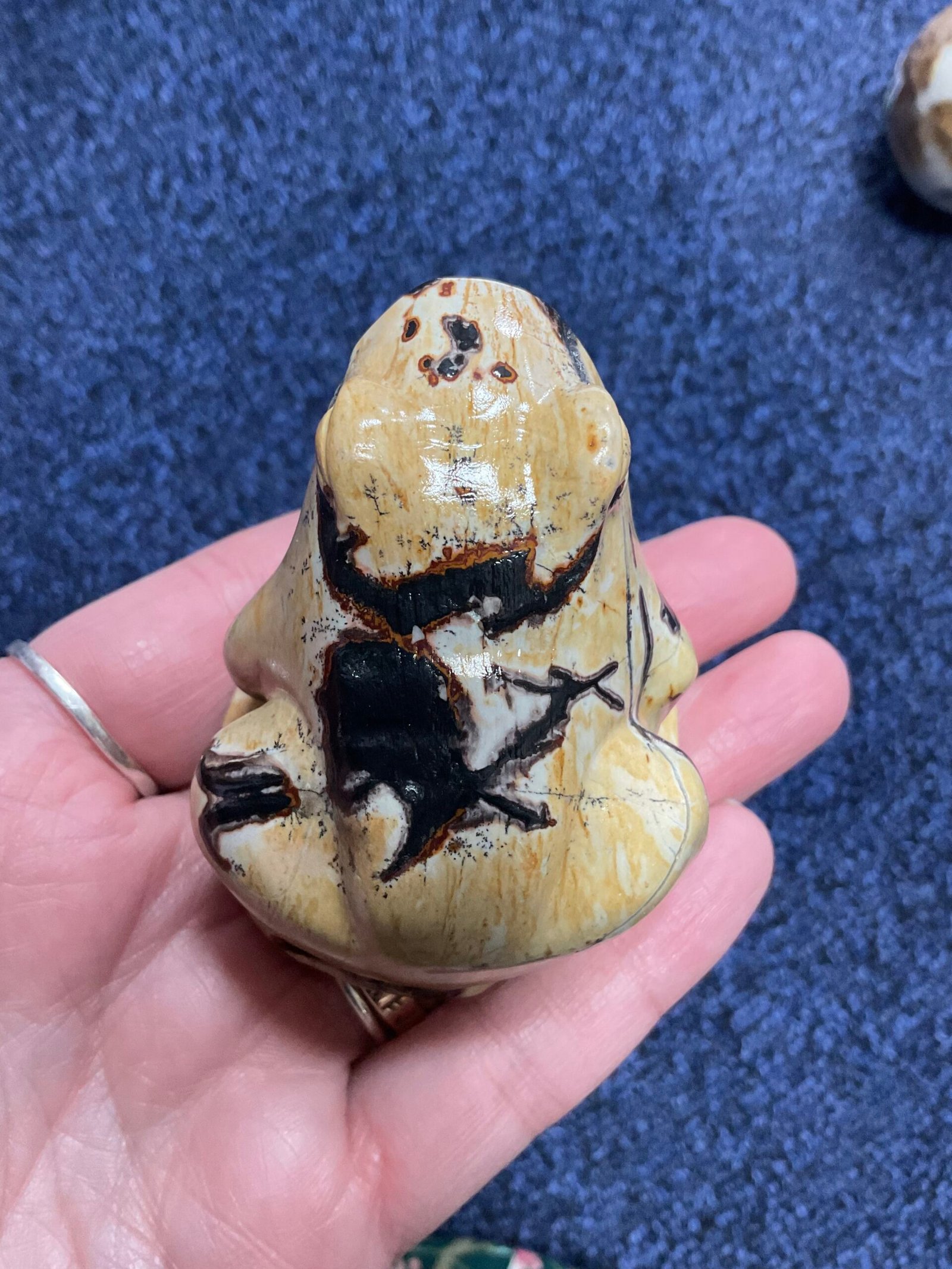 Picture Jasper Frog - Image 3