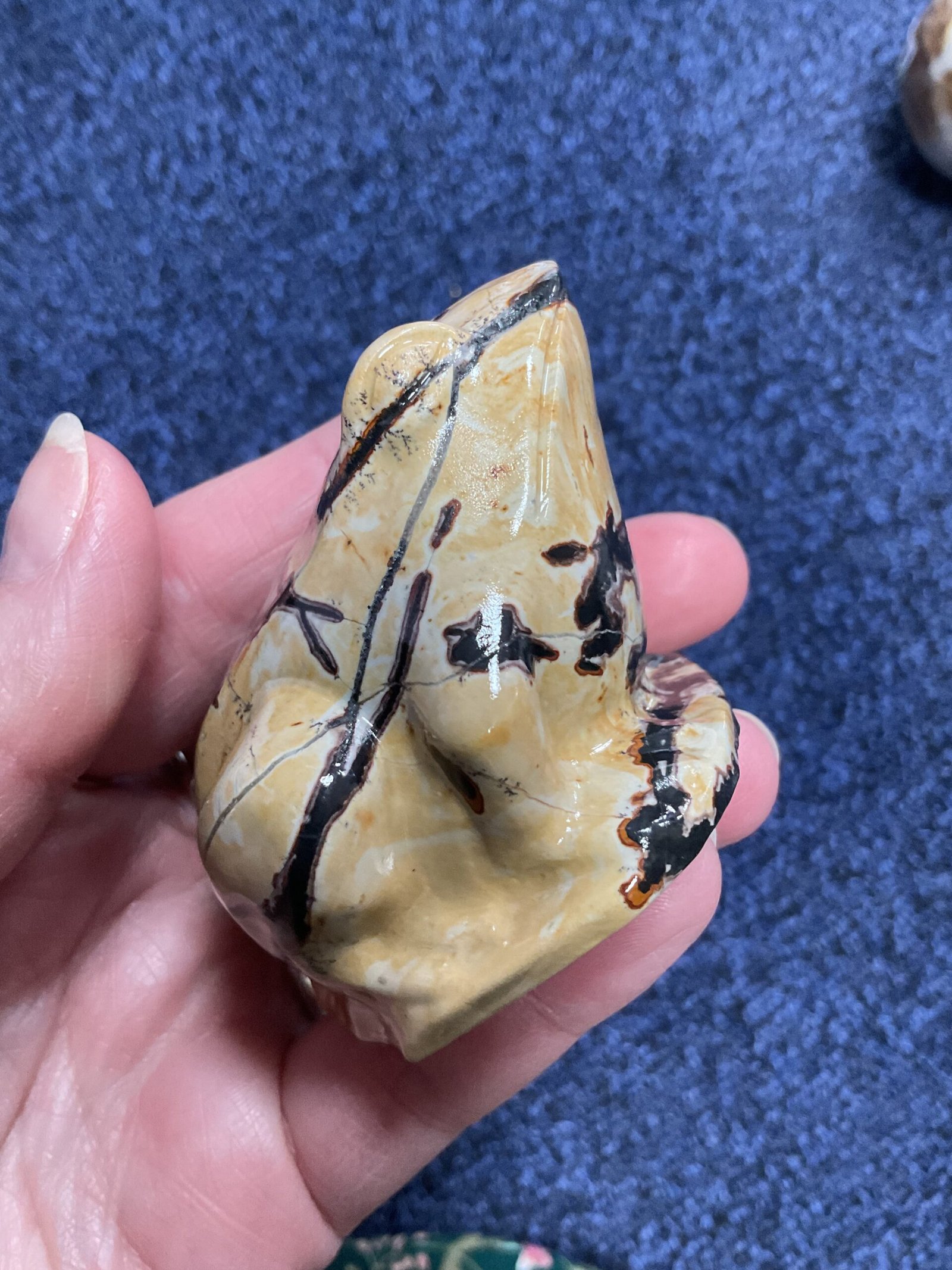 Picture Jasper Frog - Image 4