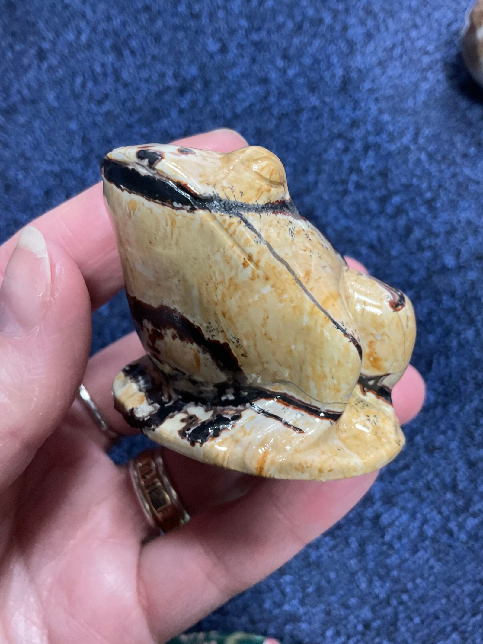 Picture Jasper Frog - Image 6