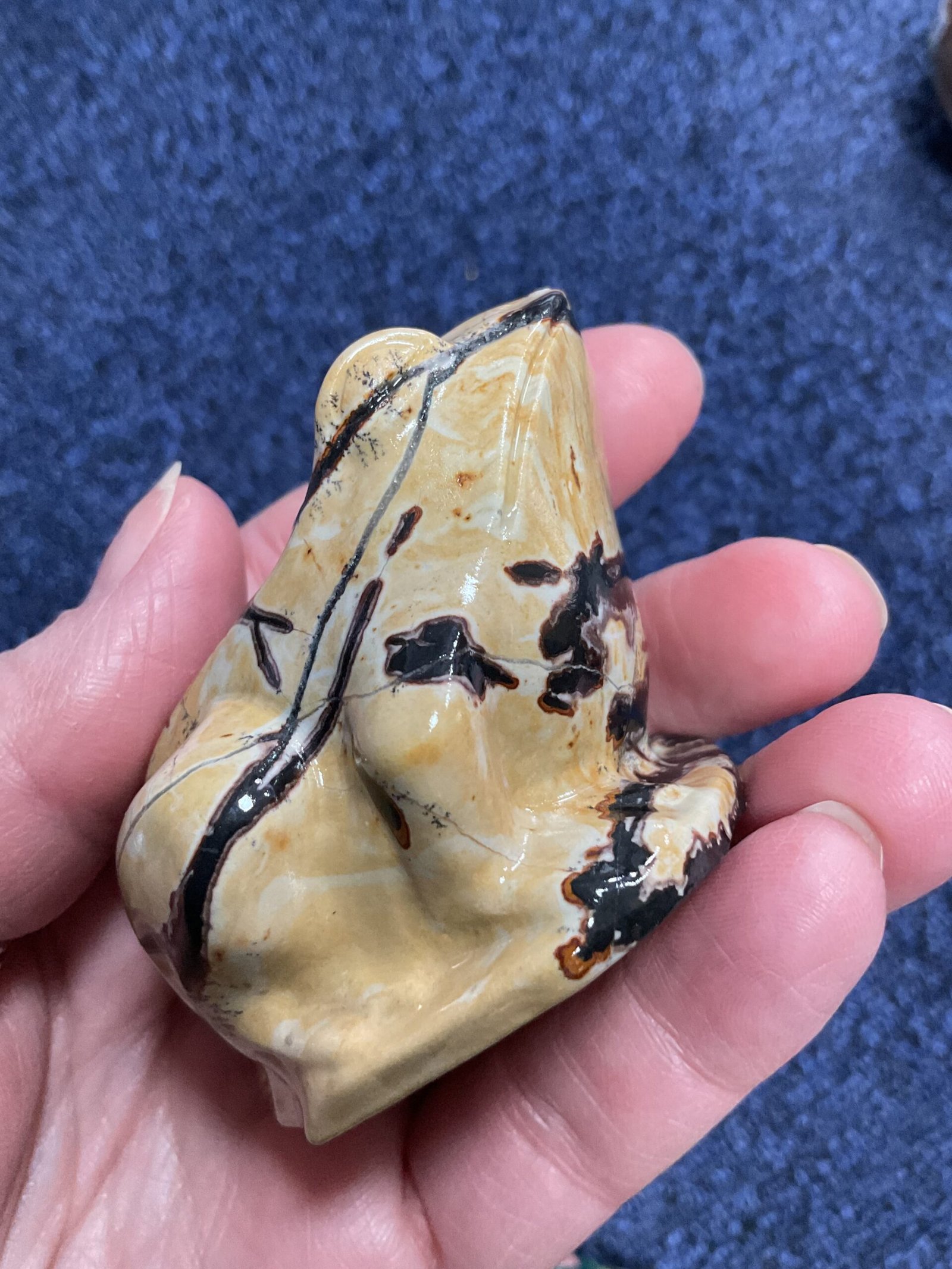 Picture Jasper Frog - Image 7