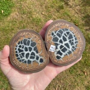 Septarian “Thunder Egg” Nodule