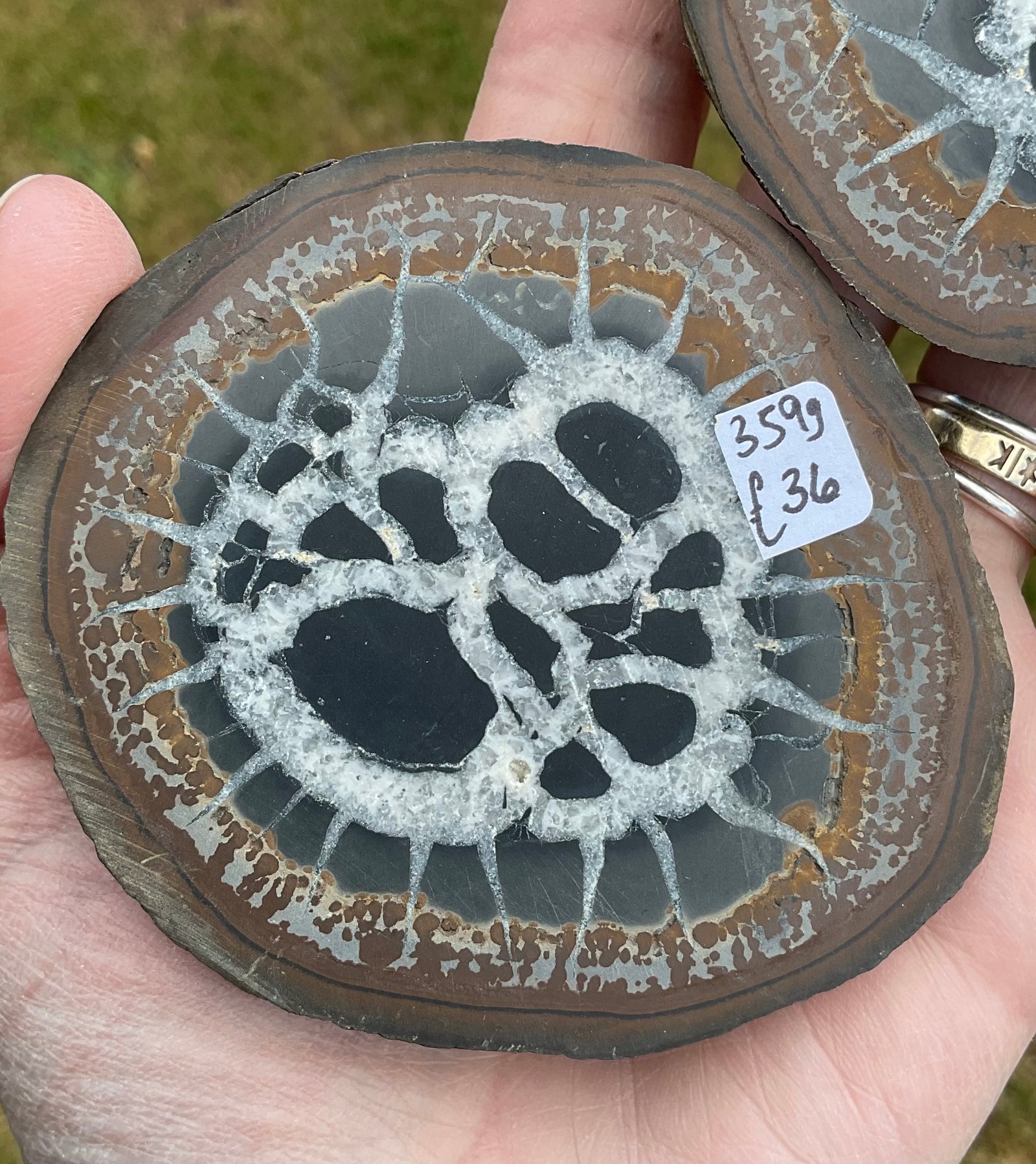 Septarian “Thunder Egg” Nodule - Image 3