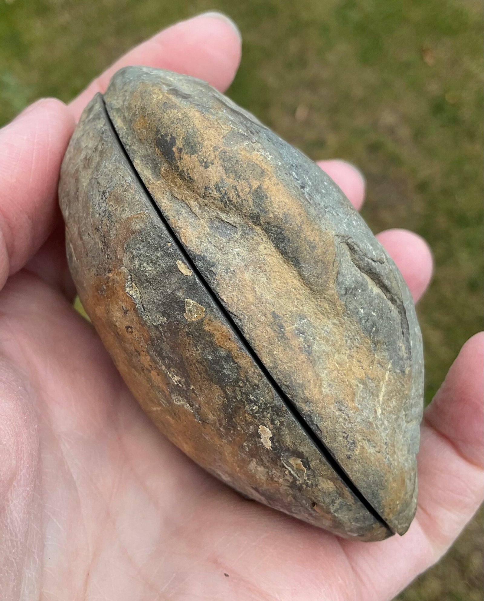 Septarian “Thunder Egg” Nodule - Image 5