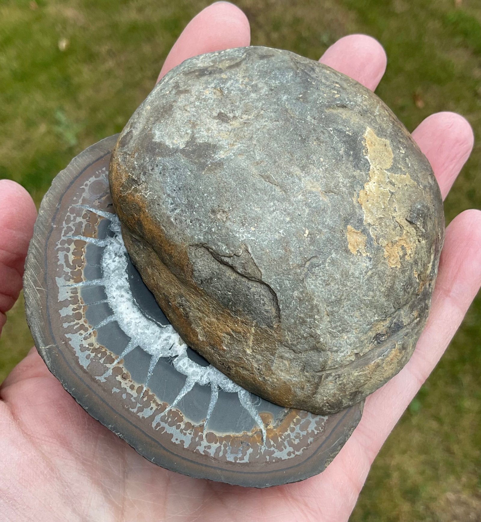 Septarian “Thunder Egg” Nodule - Image 6