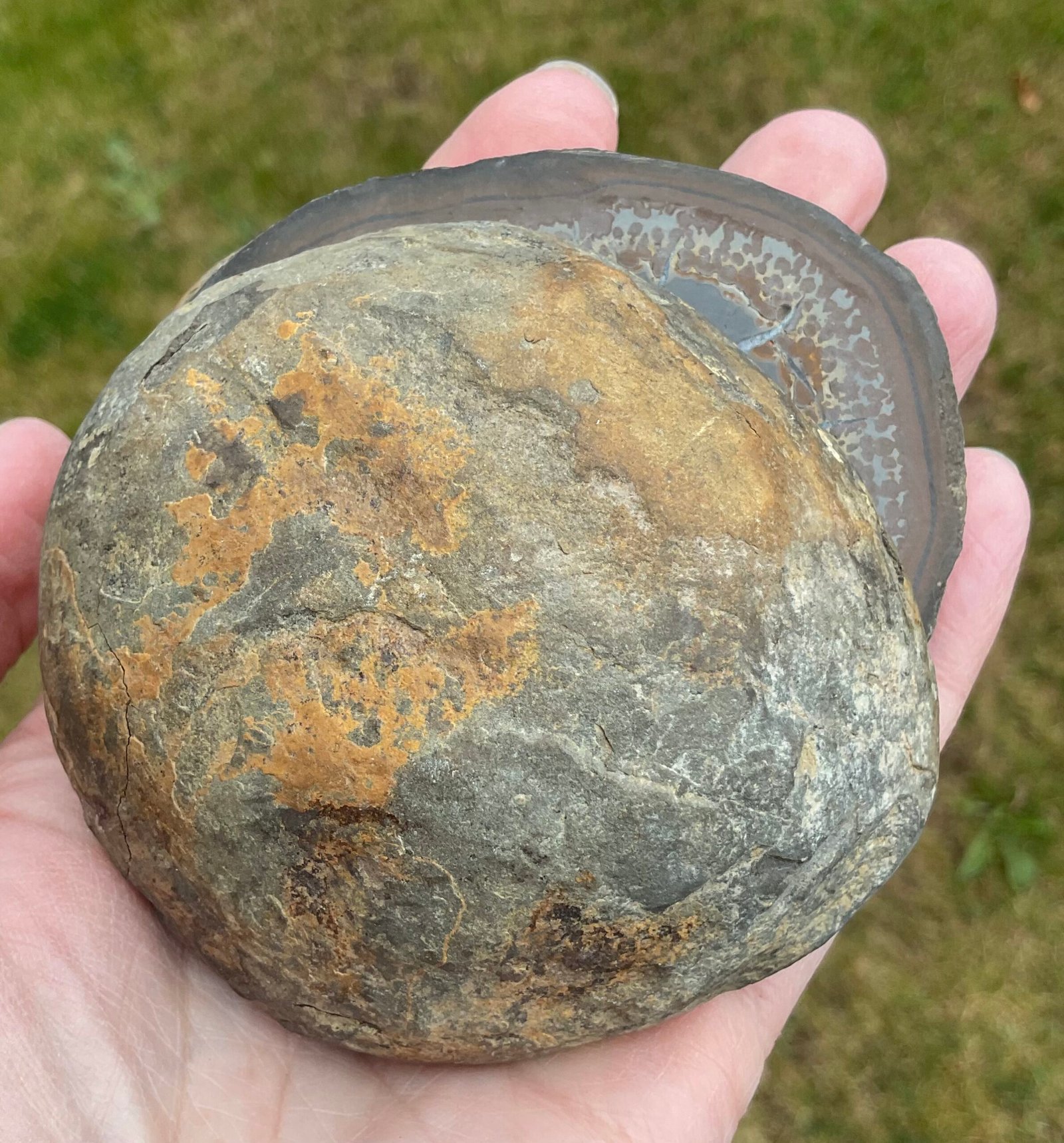 Septarian “Thunder Egg” Nodule - Image 7