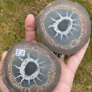 Septarian “Thunder Egg” Nodule