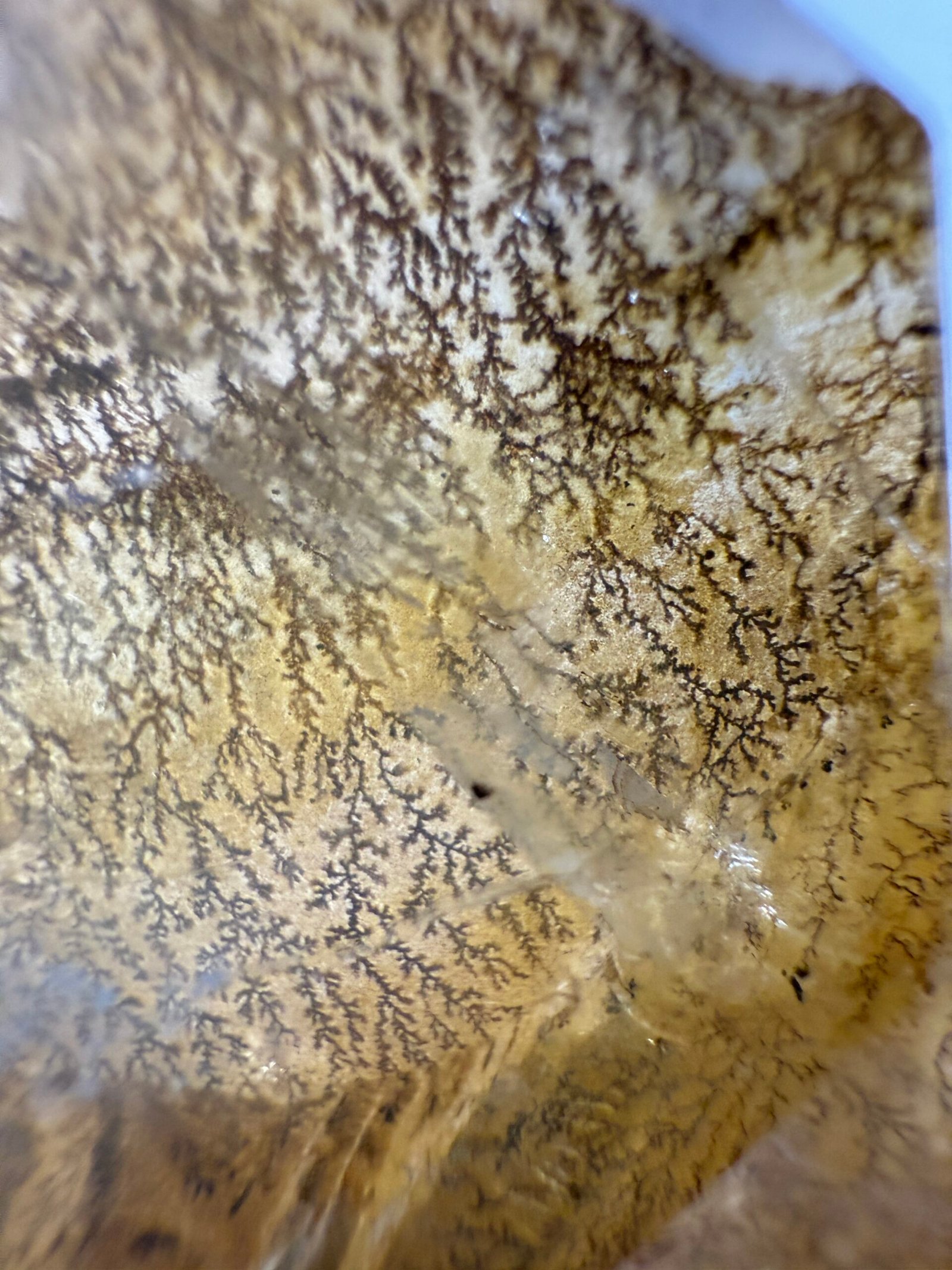 Dendritic Golden Healer Tower - Image 6