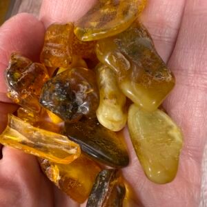 Baltic Amber Natural Tumble