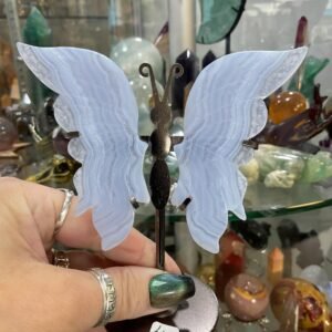 Blue Lace Agate Butterfly Wings on Stand