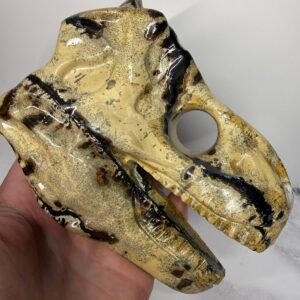 Picture Jasper T-Rex Skull Carving