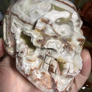 Crazy Lace Agate Skull Carving