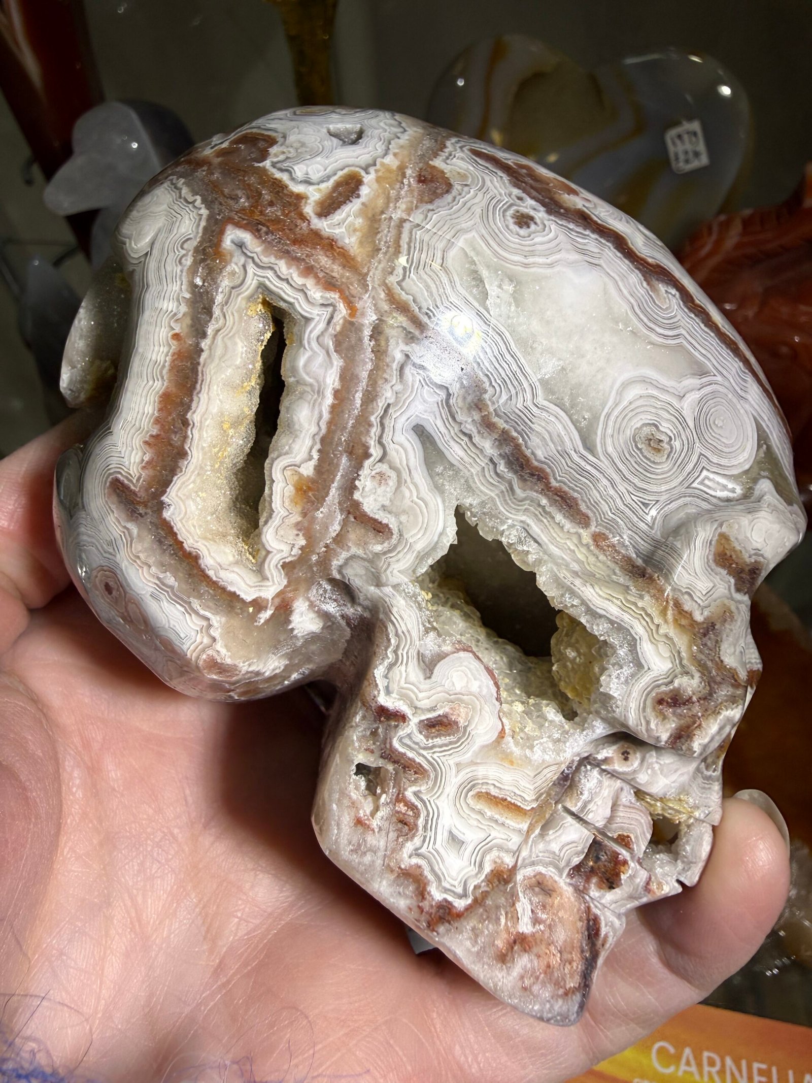 Crazy Lace Agate Skull Carving - Image 4