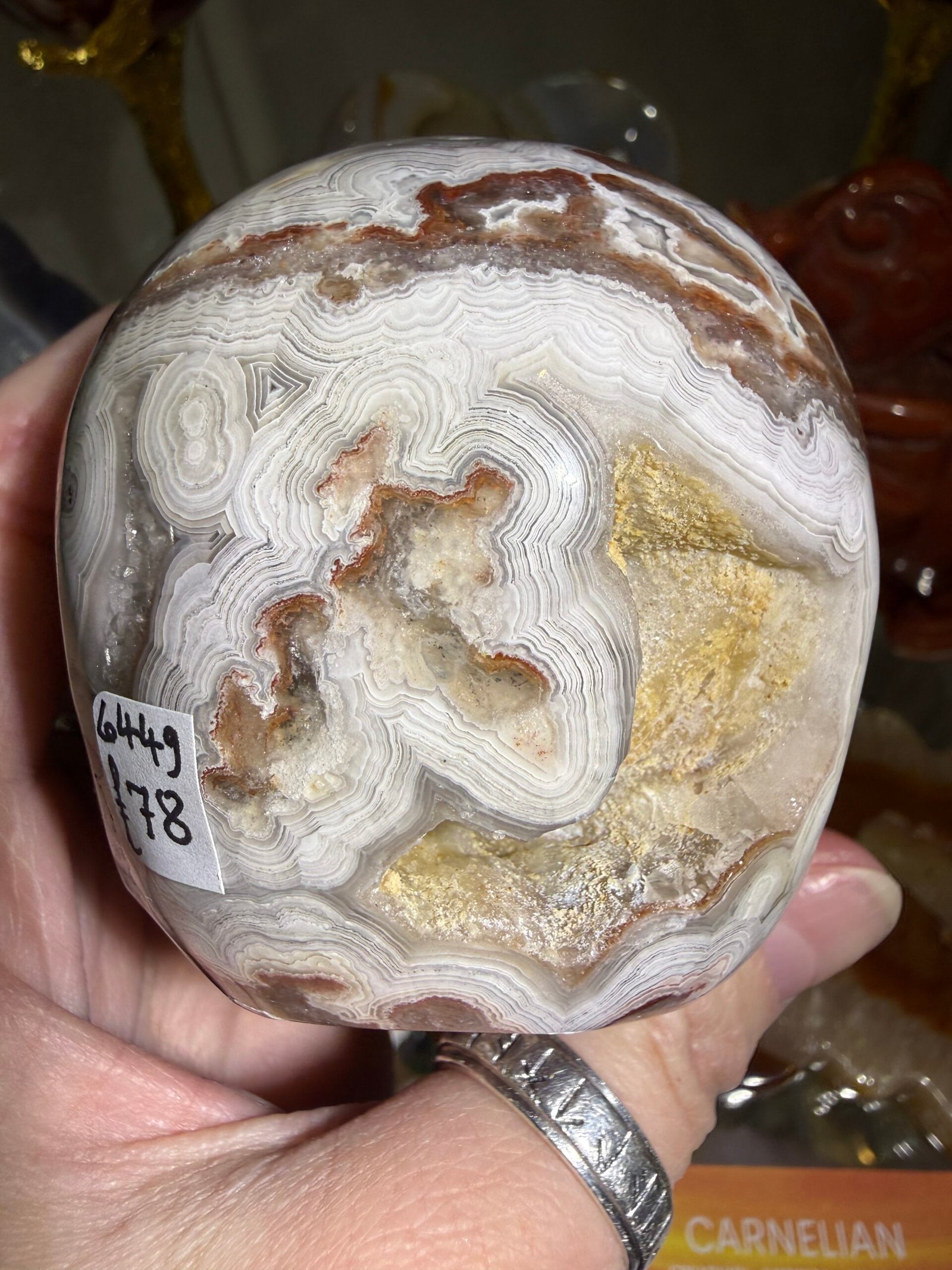 Crazy Lace Agate Skull Carving - Image 5