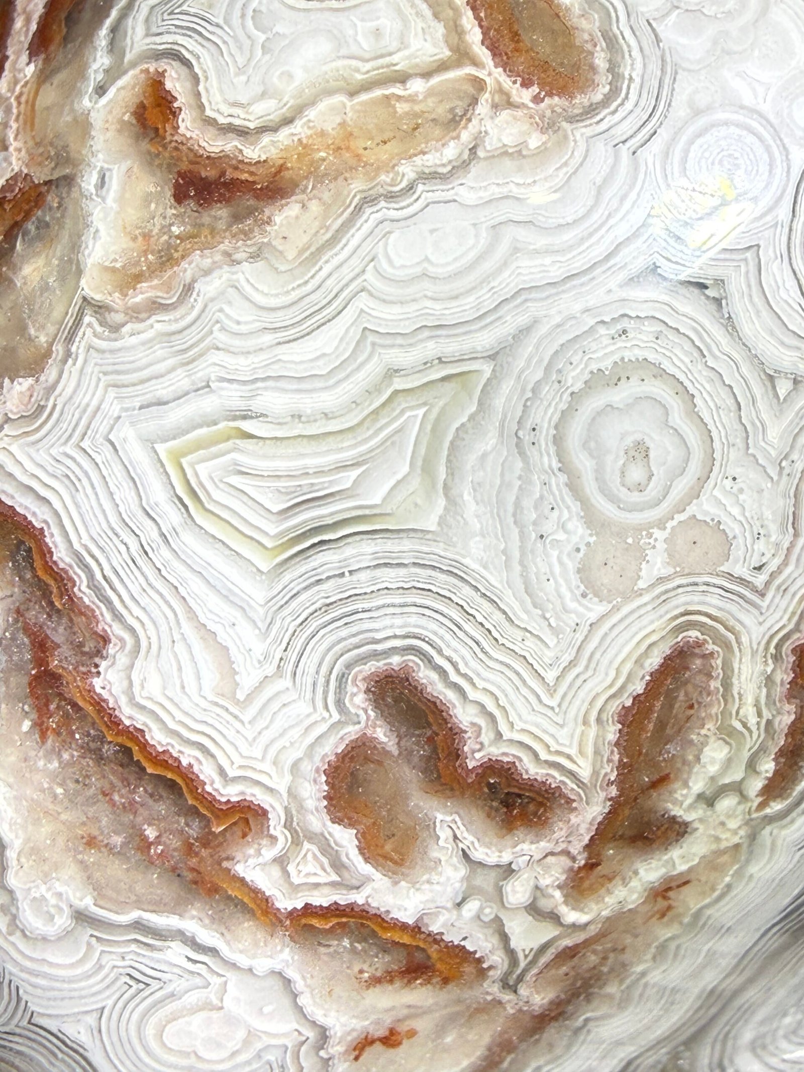 Crazy Lace Agate Skull Carving - Image 10