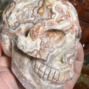 Crazy Lace Agate Skull Carving