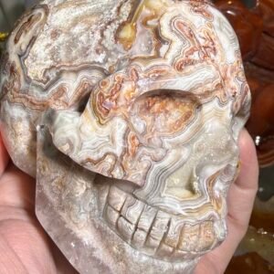 Crazy Lace Agate Skull Carving