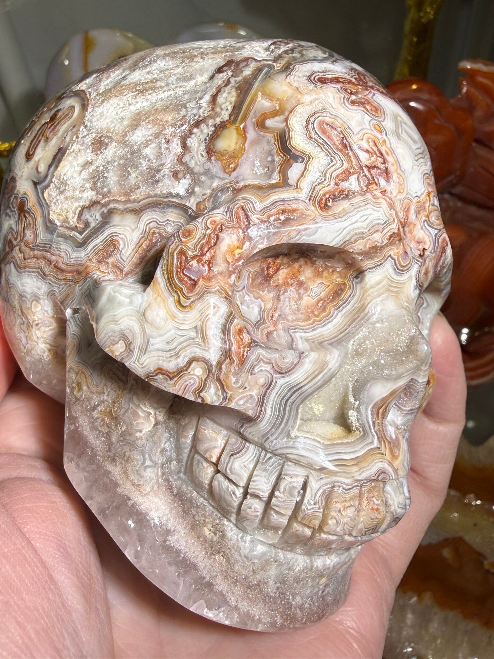 Crazy Lace Agate Skull Carving