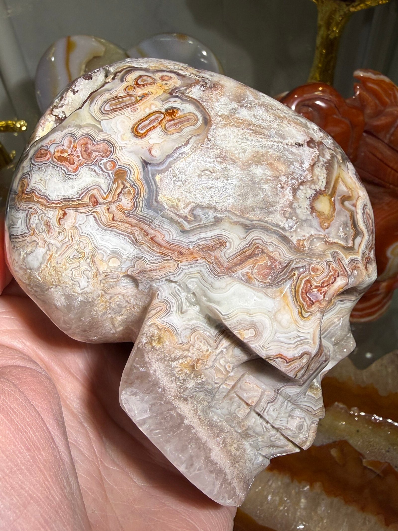 Crazy Lace Agate Skull Carving - Image 4