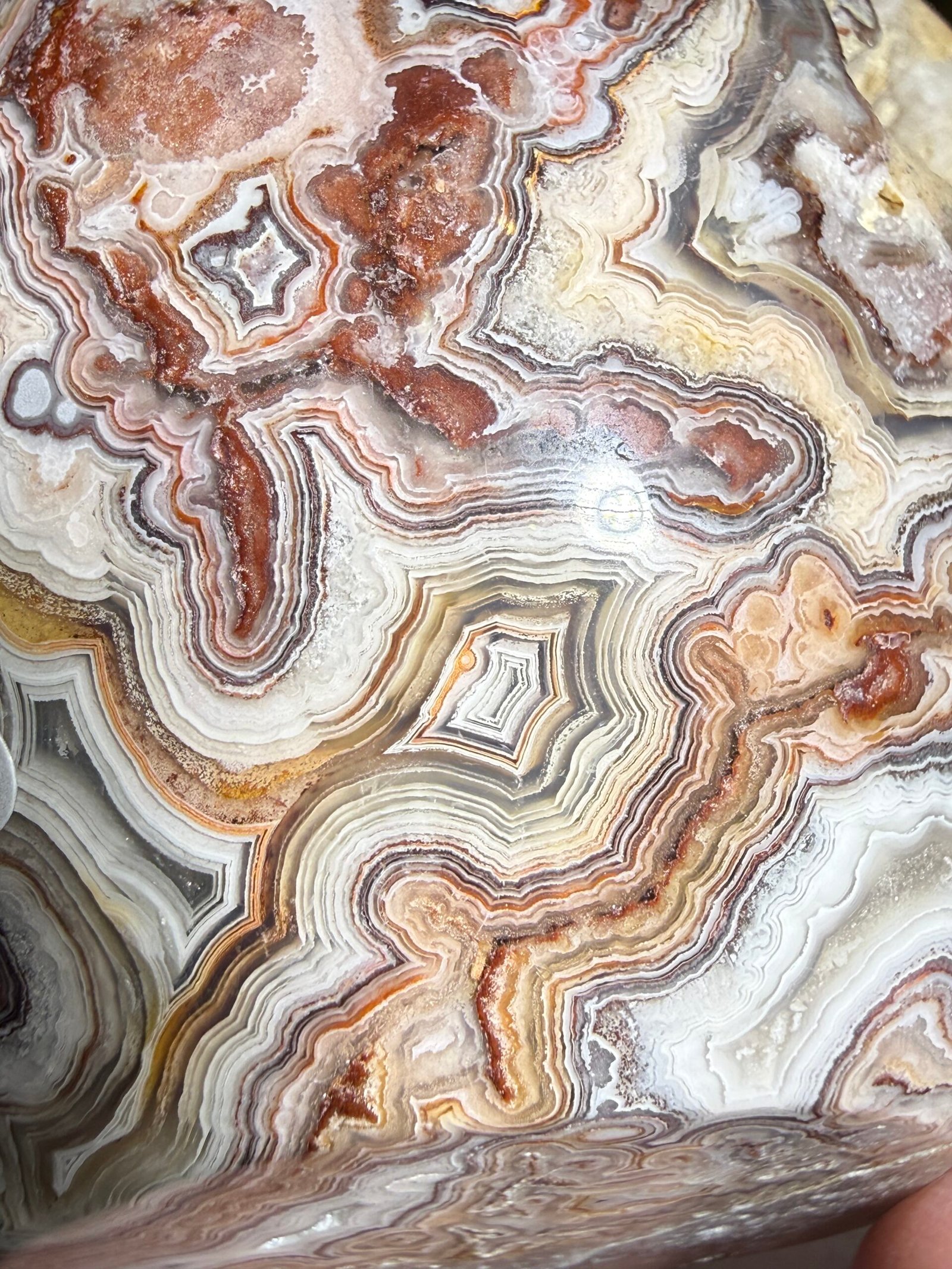 Crazy Lace Agate Skull Carving - Image 9