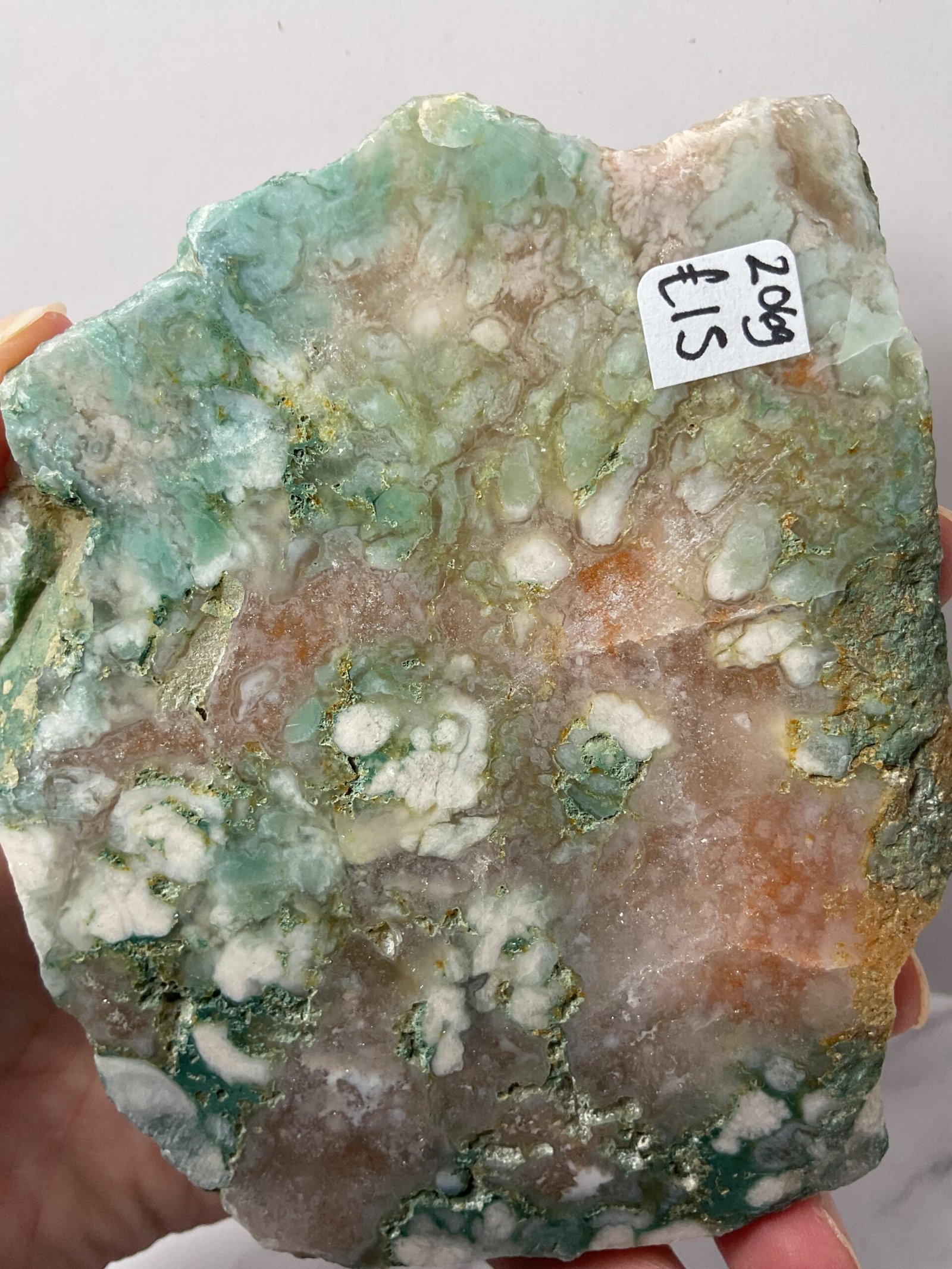 Flower Agate Slice - Image 4