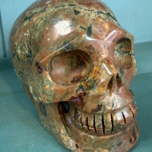 Rainforest Rhyolite Skull Carving