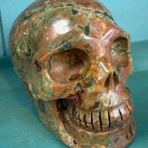 Rainforest Rhyolite Skull Carving