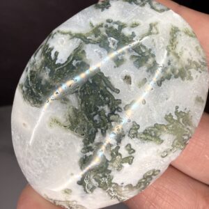 Moss Agate Palm Stone