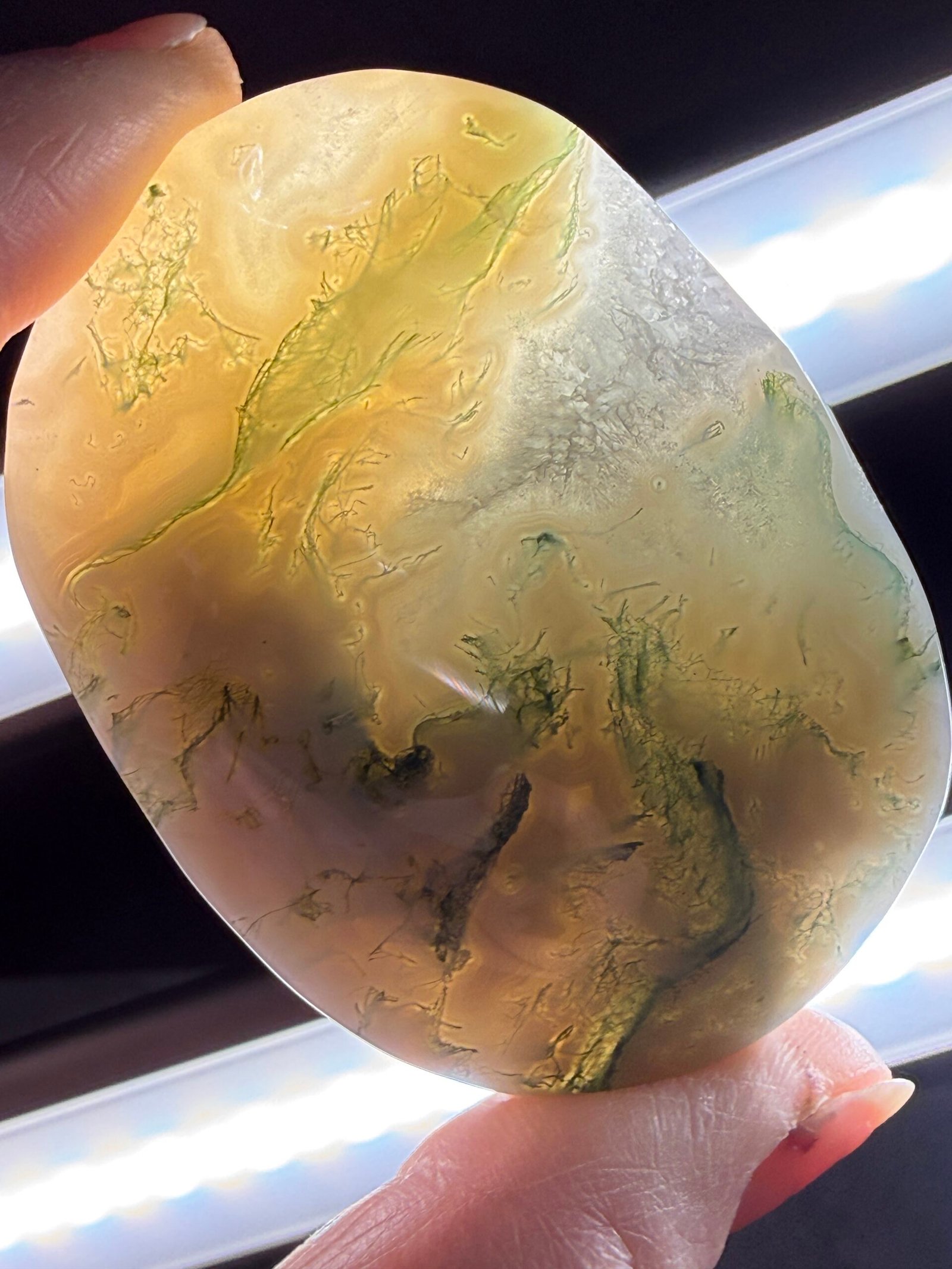 Moss Agate Palm Stone - Image 6