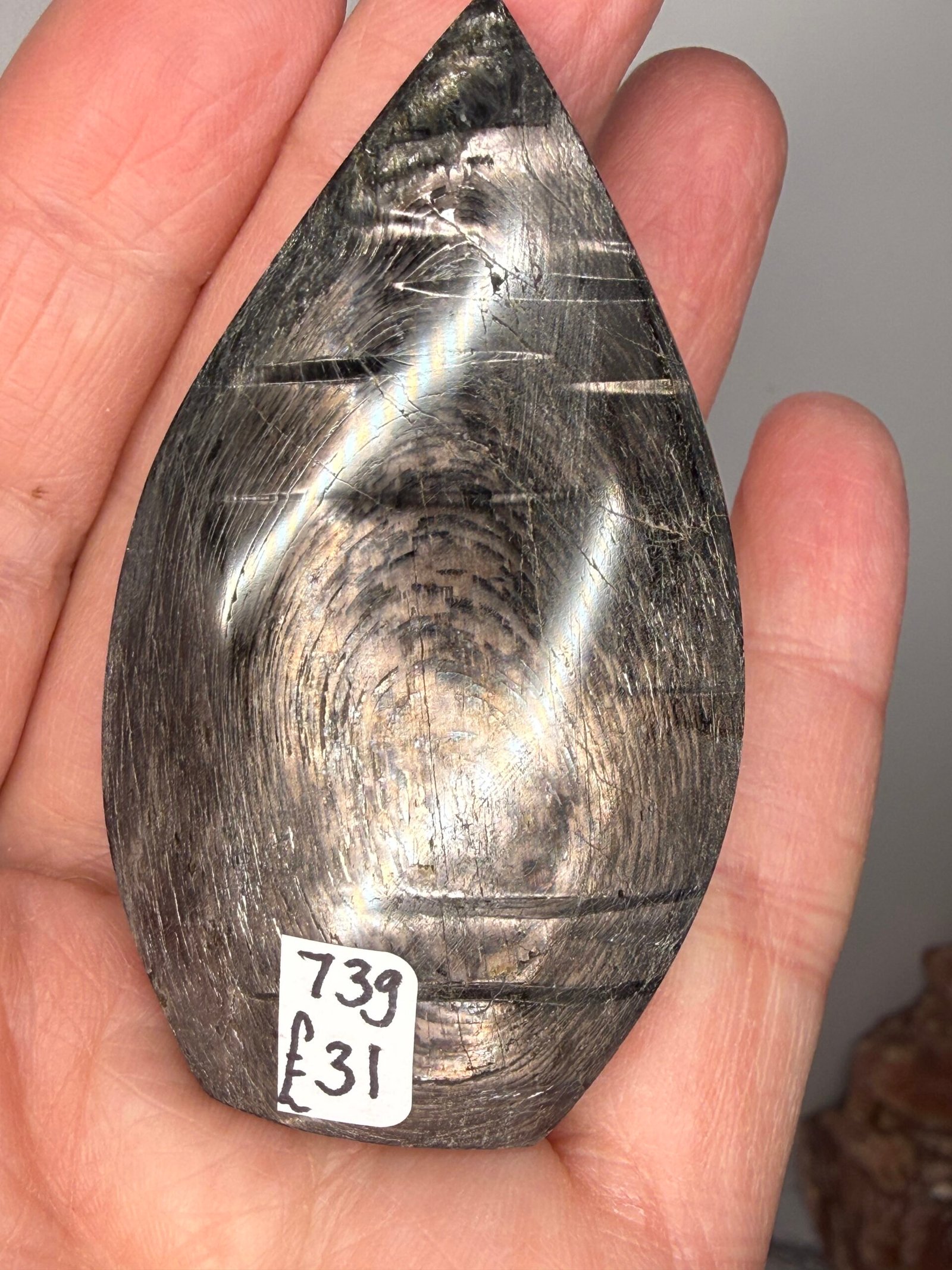 Hypersthene Freeform Sheild - Image 4