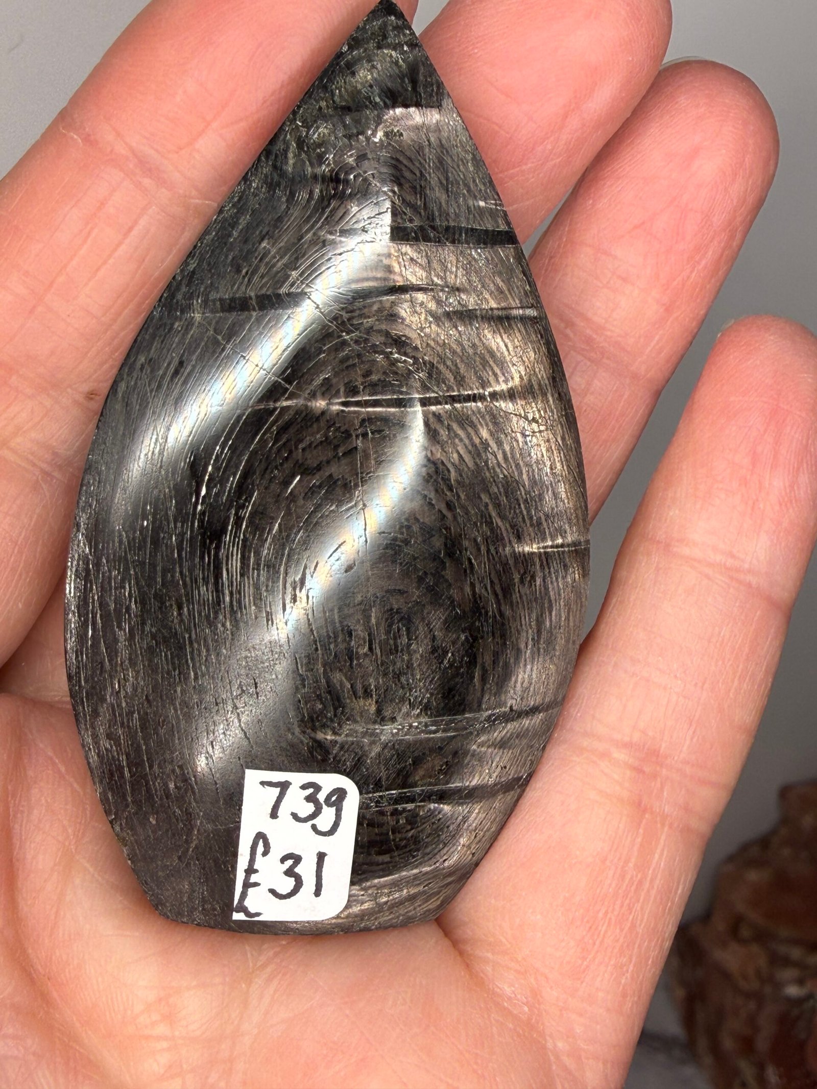 Hypersthene Freeform Sheild - Image 5